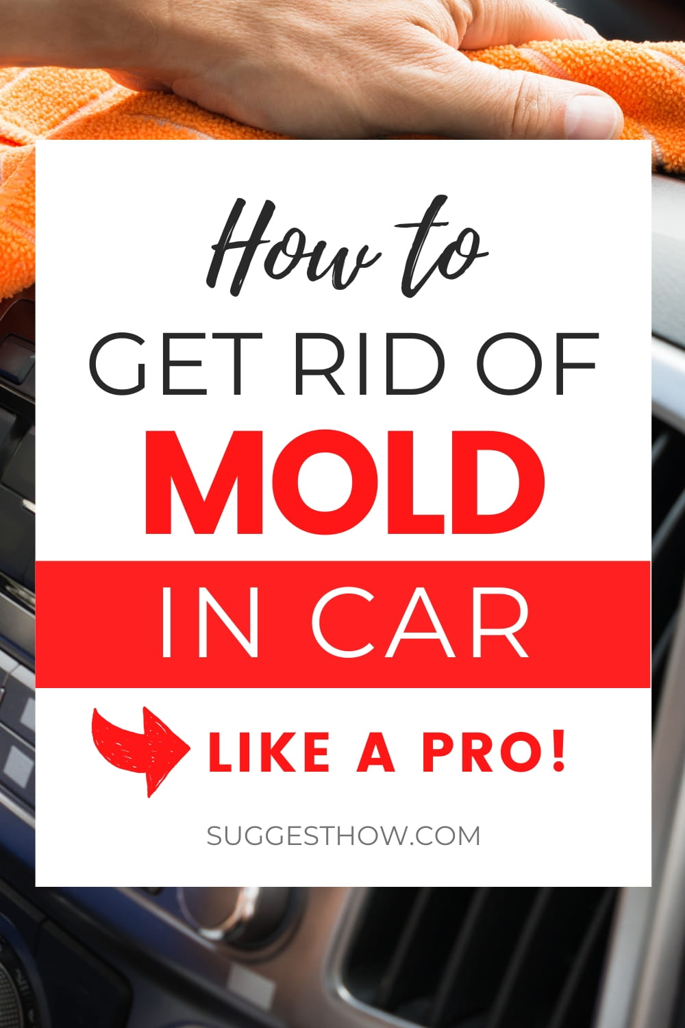 How to Get Rid of Mold in Car