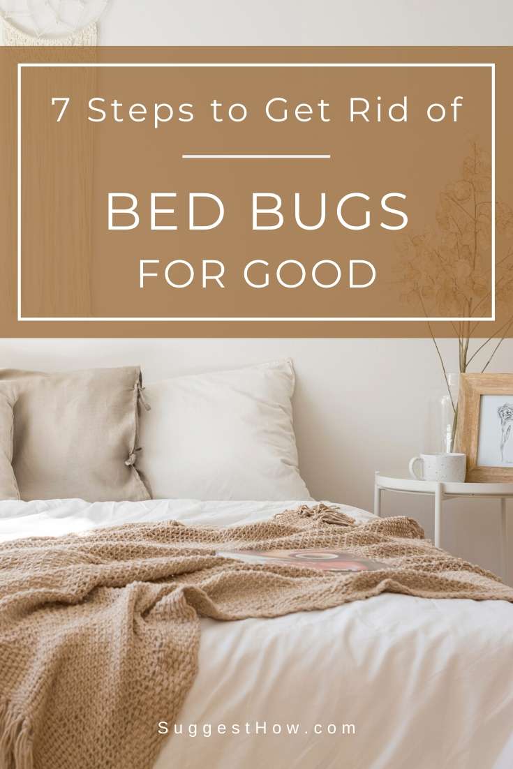 how to get rid of bed bugs for good