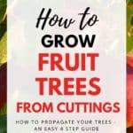 how to grow fruit trees from cuttings