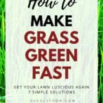how to make grass green fast