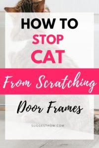 How to Stop Cat from Scratching Door Frames