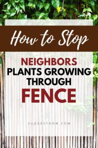 How To Stop Neighbours Plants Growing Through Fence