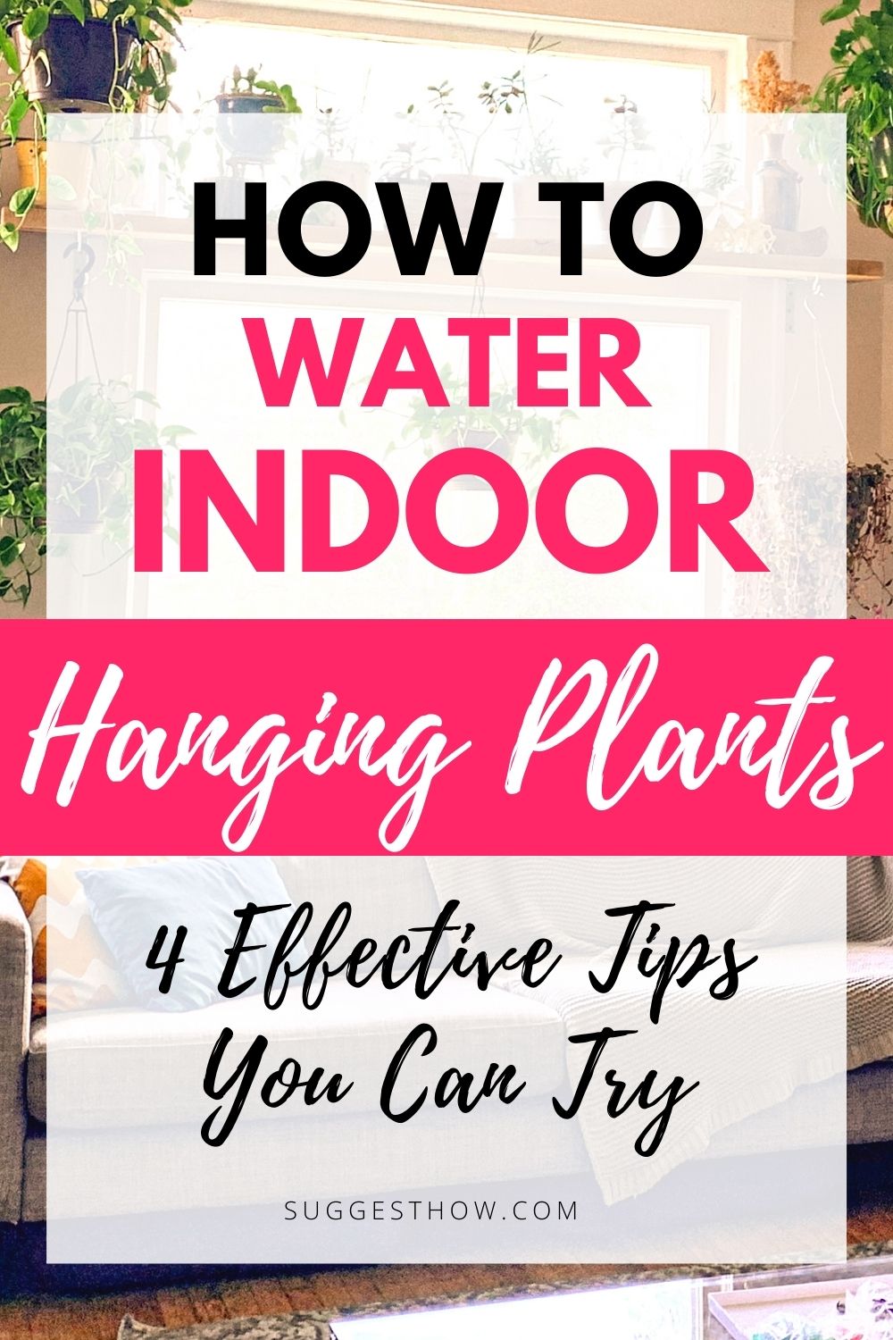 How to Water Indoor Hanging Plants 4 Easy Ways