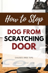 How To Stop Dog From Scratching Door